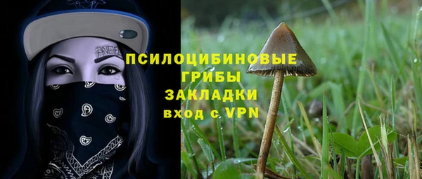 винт Алзамай