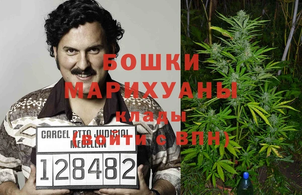 винт Алзамай
