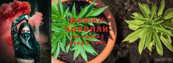 ПСИЛОЦИБИНОВЫЕ ГРИБЫ Алексин