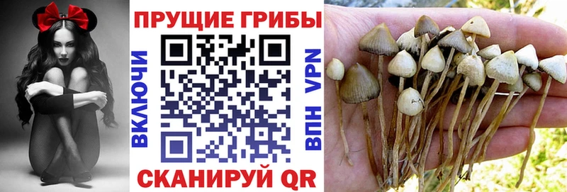 Галлюциногенные грибы GOLDEN TEACHER  мега вход  Бабушкин 